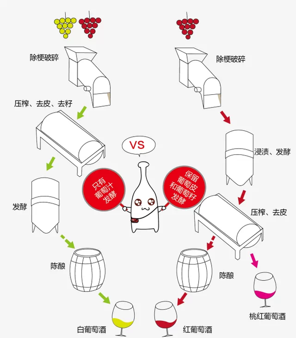 葡萄酒的釀造過(guò)程